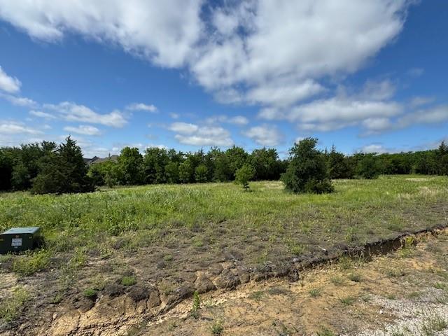 226 Cooper Lane Van Alstyne, TX 75495 - Photo 3 of 4 a view of an outdoor space and a yard