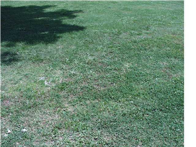 1 Kelly Cross Road Dunlap, TN 37327 - Photo 1 of 1 Primary Photo