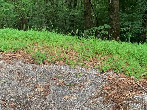 $25,000 | 43 Laurel Lane, Murphy, NC 28906
