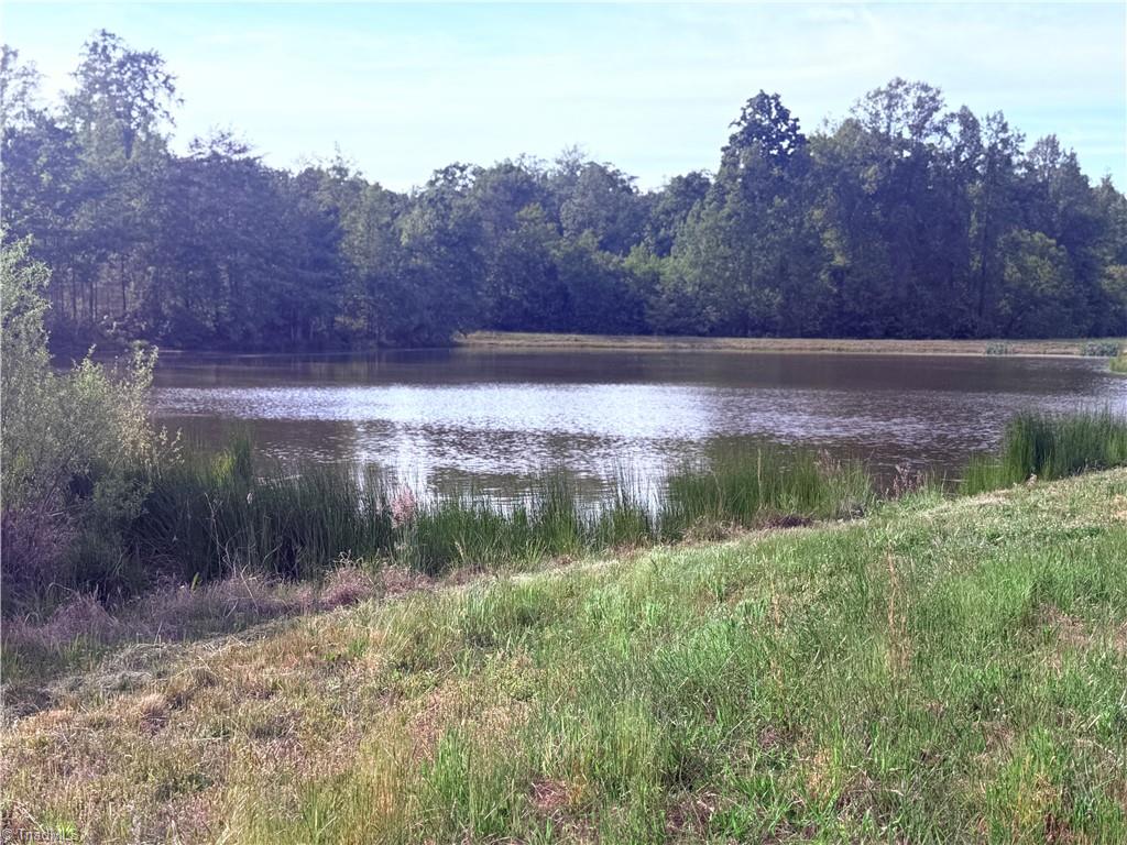 0 Amostown Road Sandy Ridge, NC 27046 - Photo 21 of 33