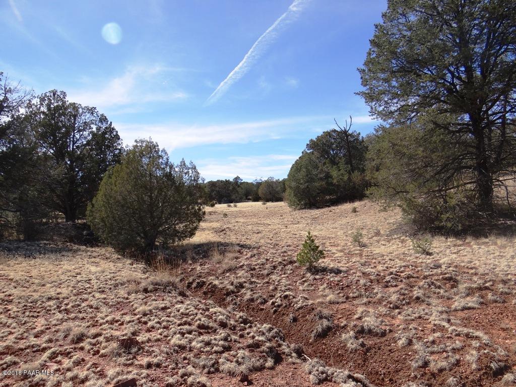 71 Shadow Rock Ranch Seligman, AZ 86337 - Photo 6 of 12 ^Middle_2