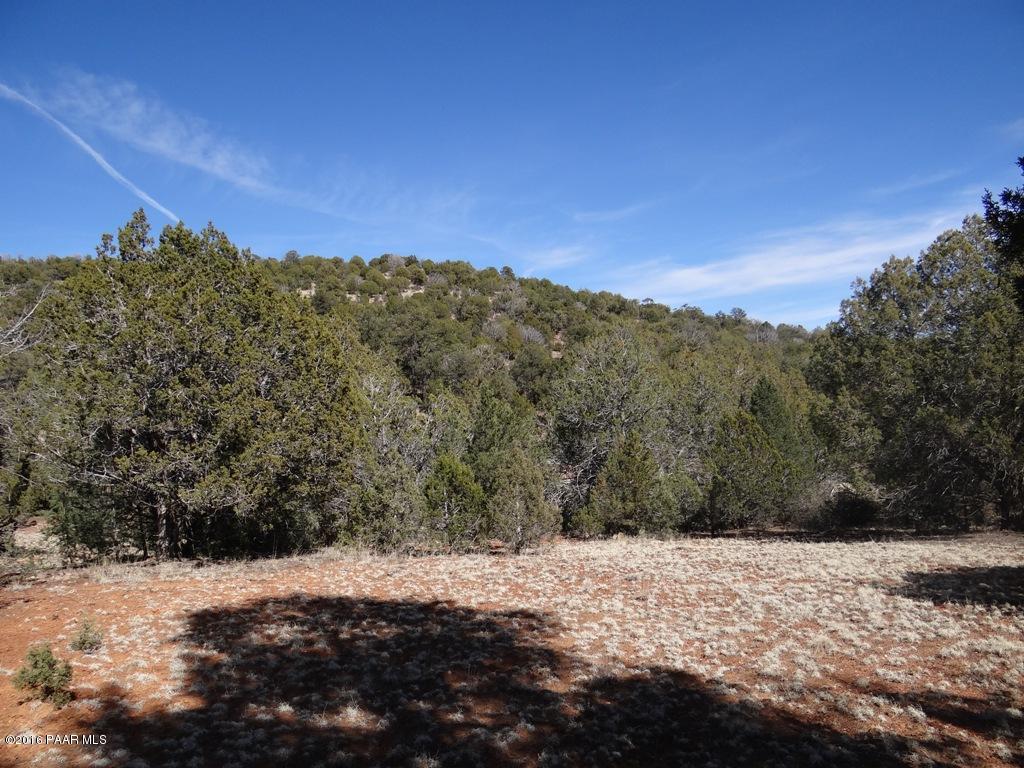 71 Shadow Rock Ranch Seligman, AZ 86337 - Photo 9 of 12 ^View_to_East