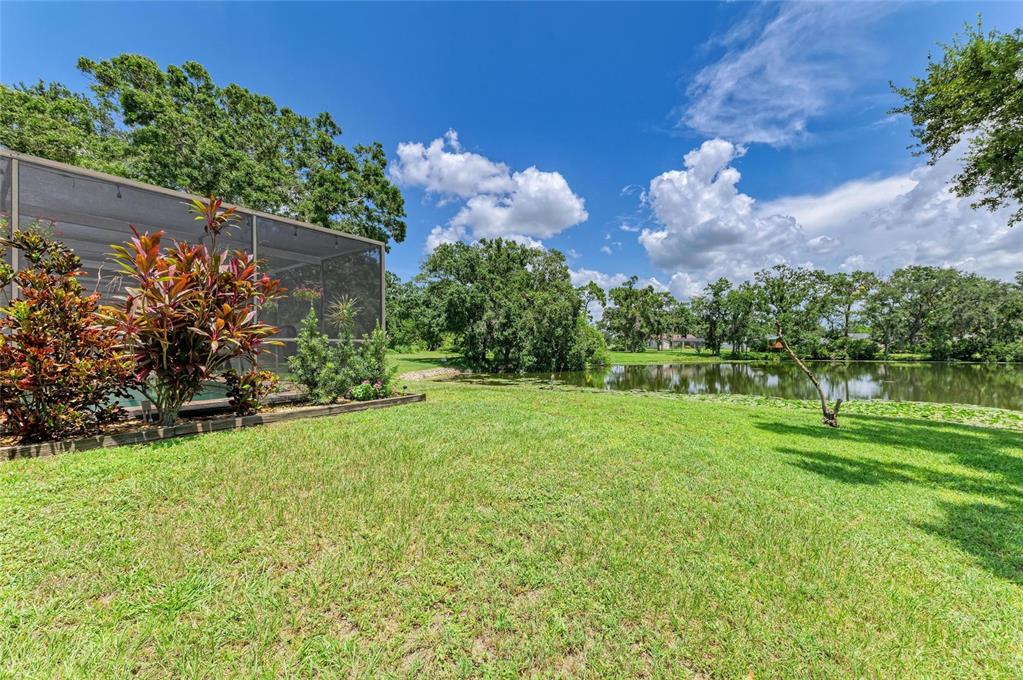 6114 Cypress Circle Bradenton, FL 34202 - Photo 63 of 67 a view of a backyard with large trees
