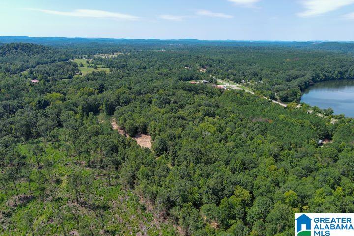 209 Harts Ferry Road, Unit 3 Ohatchee, AL 36271 - Photo 13 of 24