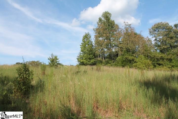 167 Traynham Road Honea Path, SC 29654 - Photo 31 of 34
