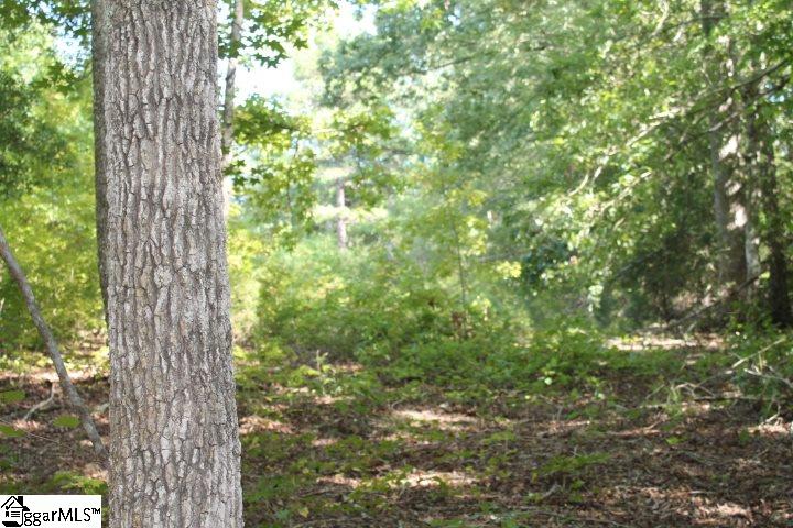 167 Traynham Road Honea Path, SC 29654 - Photo 33 of 34