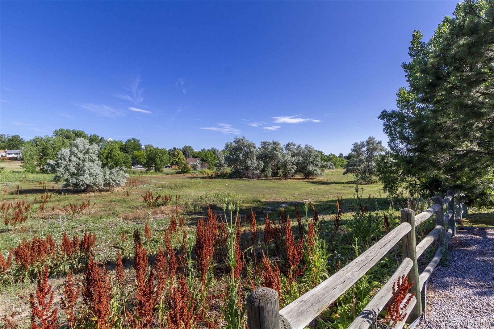 6697 South Reed Way, Unit B Littleton, CO 80123 - Photo 26 of 35 a view of a lake with a mountain in the background