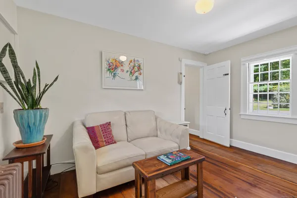 a living room with furniture a wooden floor and a potted plant