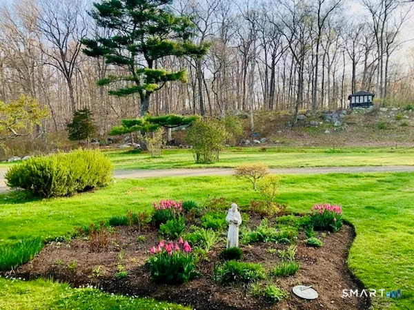 a view of a garden with a fountain and a big tree