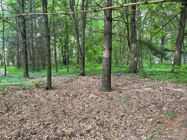 57650 Mound Road Washington, MI 48094 - Photo 8 of 16