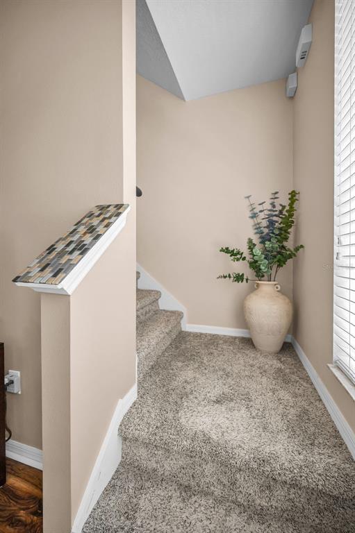 3436 Lonzalo Way New Port Richey, FL 34655 - Photo 25 of 52