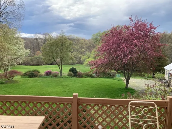 a view of a yard with an tree