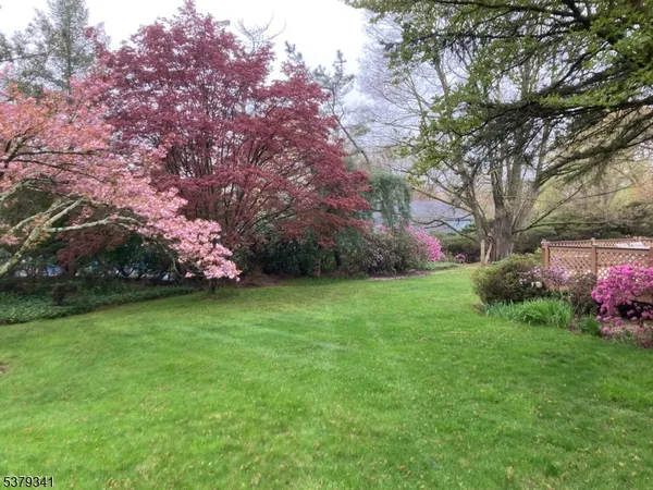 a view of a yard