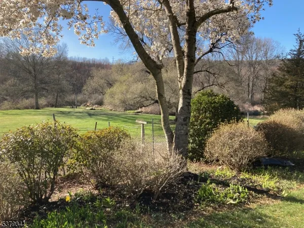 a view of a yard with a tree