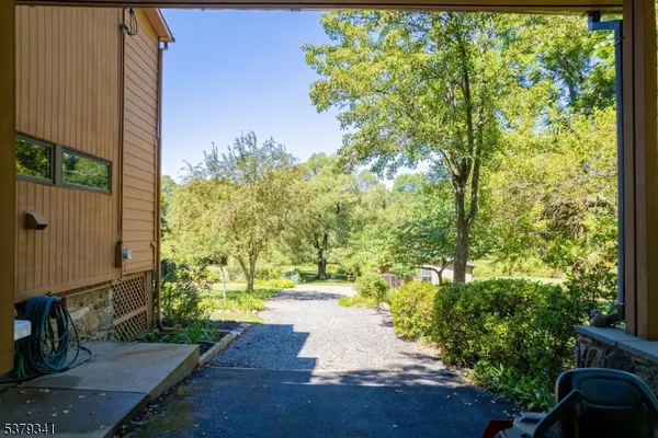a view of a yard with plants and large trees