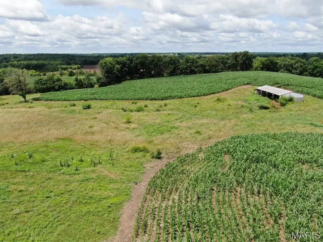 $560,000 | 0 Monroe Road 1151, Madison, MO 65263