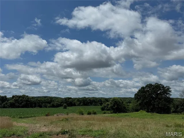 $560,000 | 0 Monroe Road 1151, Madison, MO 65263