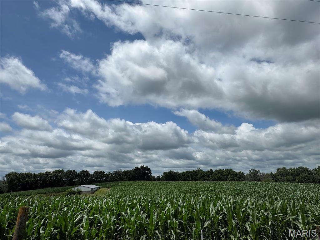 0 Monroe Road 1151 Madison, MO 65263 - Photo 6 of 16