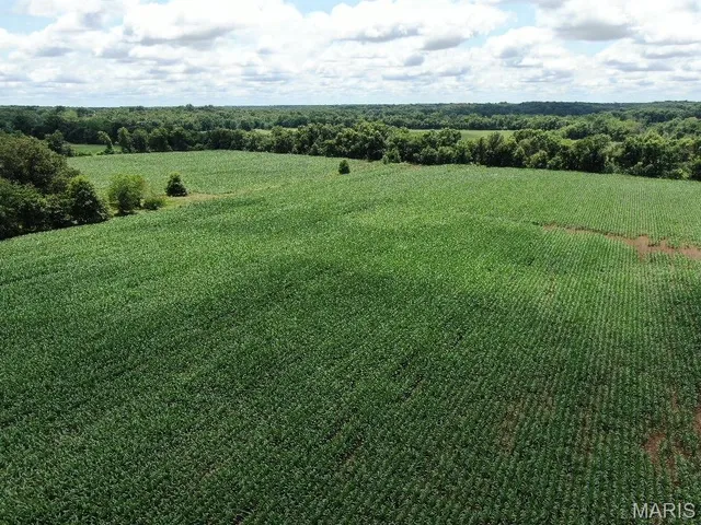 $560,000 | 0 Monroe Road 1151, Madison, MO 65263