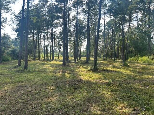 0 New Hope Road Sandy Hook, MS 39478 - Photo 2 of 7 Gallery Image 2