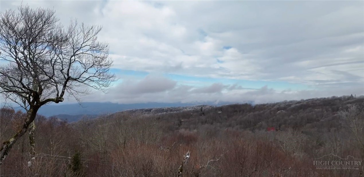 112 Tamarack Road Beech Mountain, NC 28604 - Photo 16 of 17 Gallery Image 16