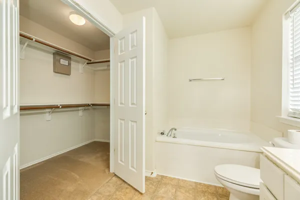 a bathroom with a tub shower sink vanity and a toilet