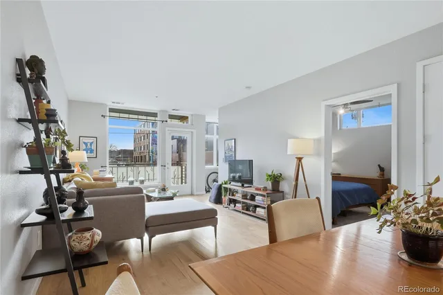 a living room with furniture potted plant and a large window