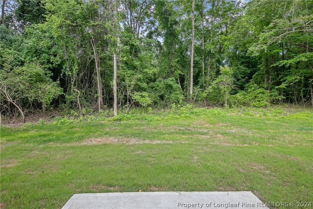 510 Ray Byrd Road Lillington, NC 27546 - Photo 41 of 50 Gallery Image 41
