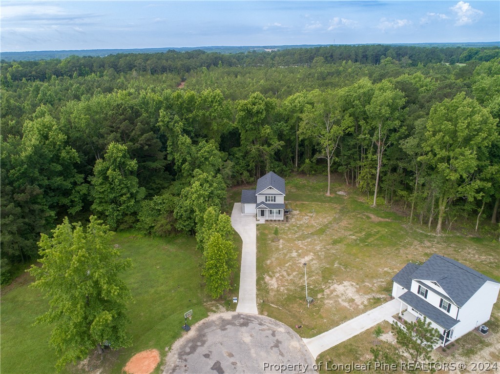510 Ray Byrd Road Lillington, NC 27546 - Photo 43 of 50 Gallery Image 43