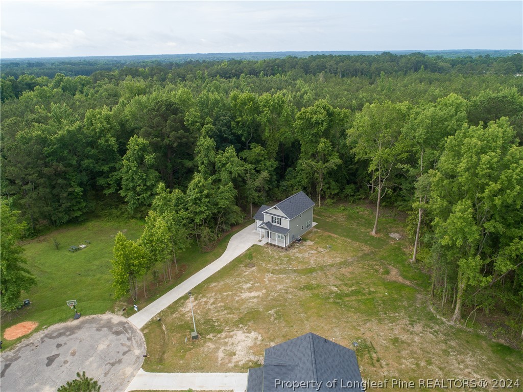 510 Ray Byrd Road Lillington, NC 27546 - Photo 44 of 50 Gallery Image 44
