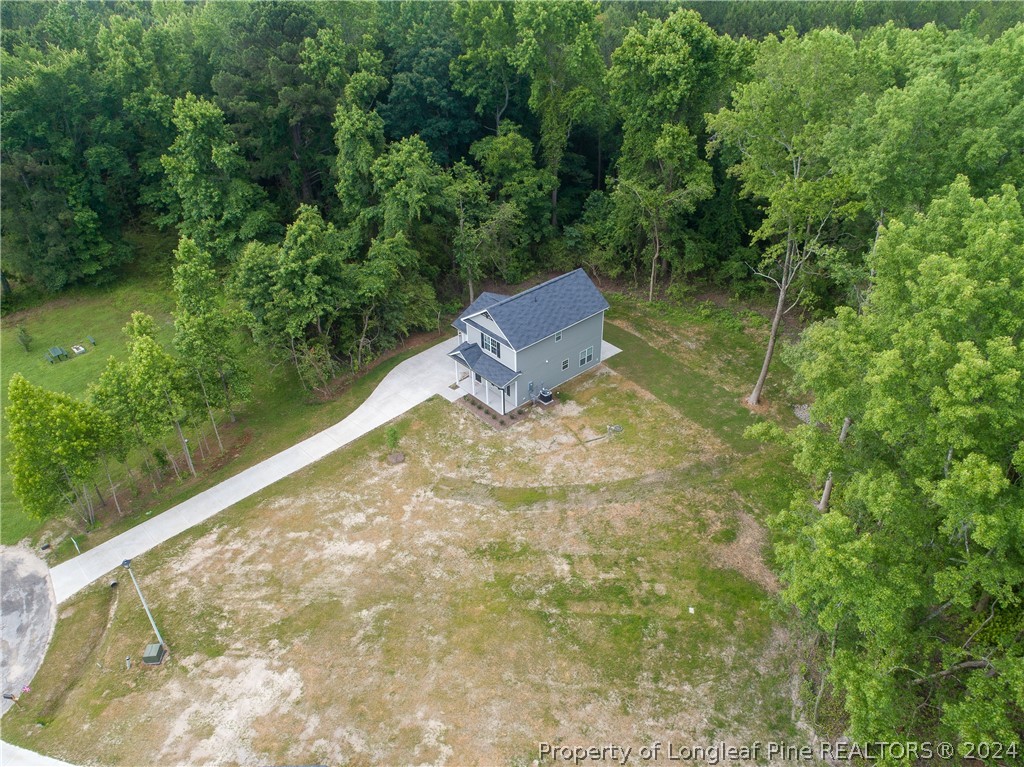 510 Ray Byrd Road Lillington, NC 27546 - Photo 45 of 50 Gallery Image 45