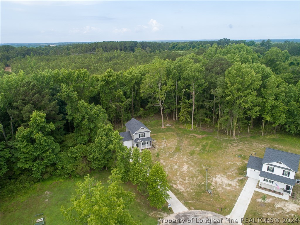 510 Ray Byrd Road Lillington, NC 27546 - Photo 46 of 50 Gallery Image 46