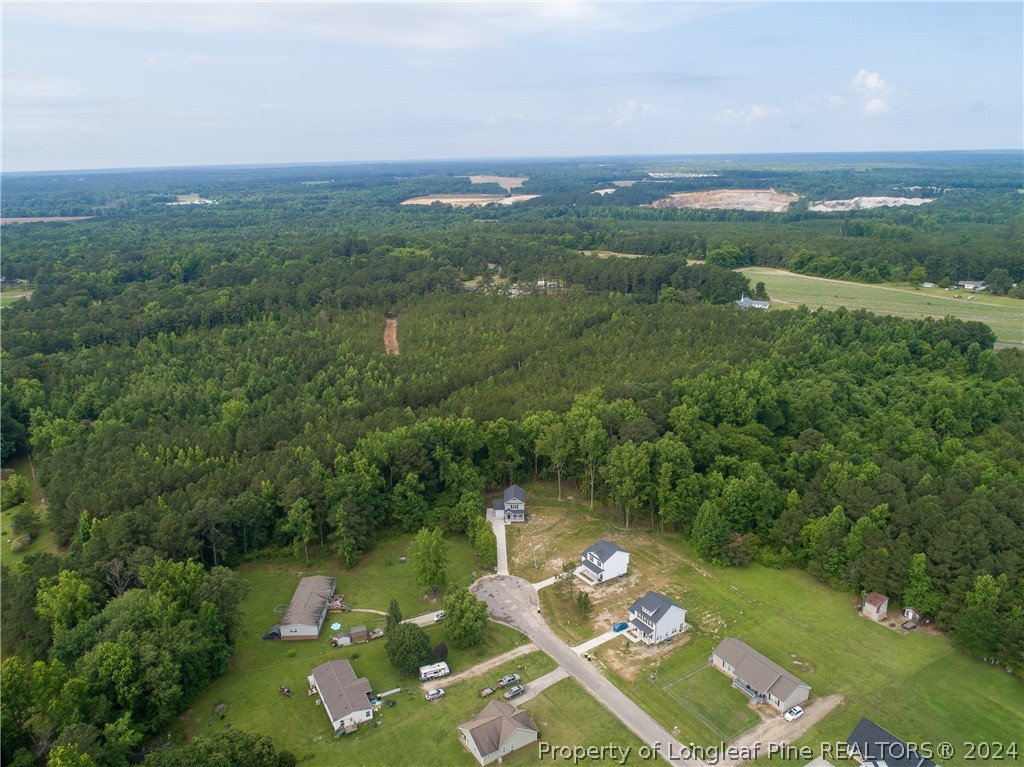 510 Ray Byrd Road Lillington, NC 27546 - Photo 47 of 50 Gallery Image 47