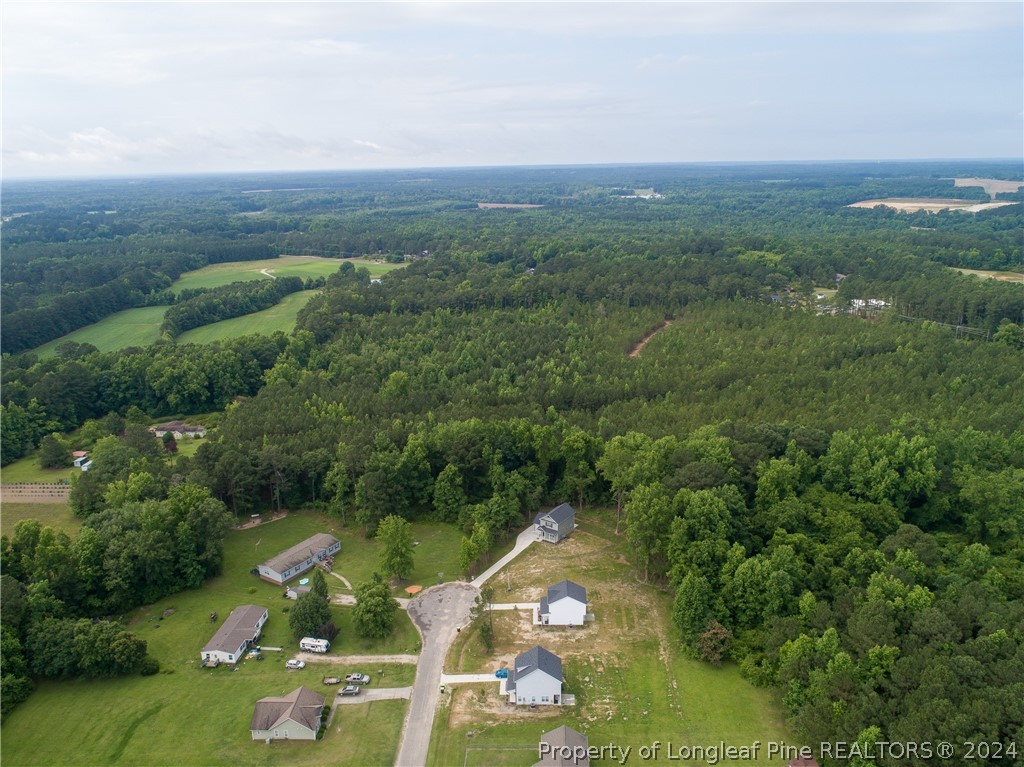 510 Ray Byrd Road Lillington, NC 27546 - Photo 48 of 50 Gallery Image 48