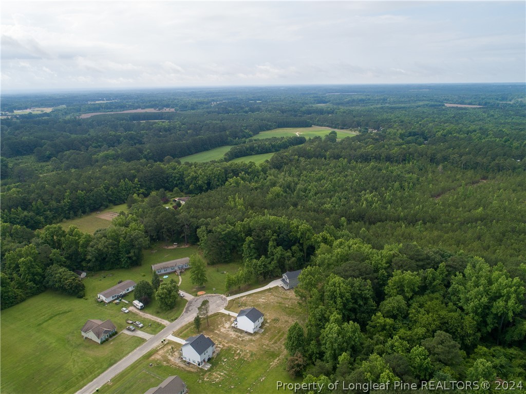 510 Ray Byrd Road Lillington, NC 27546 - Photo 49 of 50 Gallery Image 49