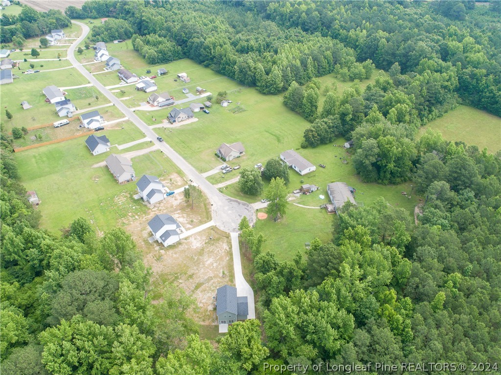 510 Ray Byrd Road Lillington, NC 27546 - Photo 50 of 50 Gallery Image 50