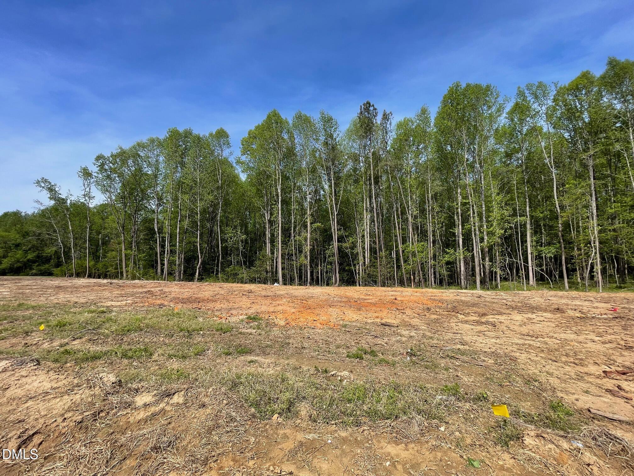 1827 South Big Woods Road Spring Hope, NC 27882 - Photo 9 of 10 IMG_4077