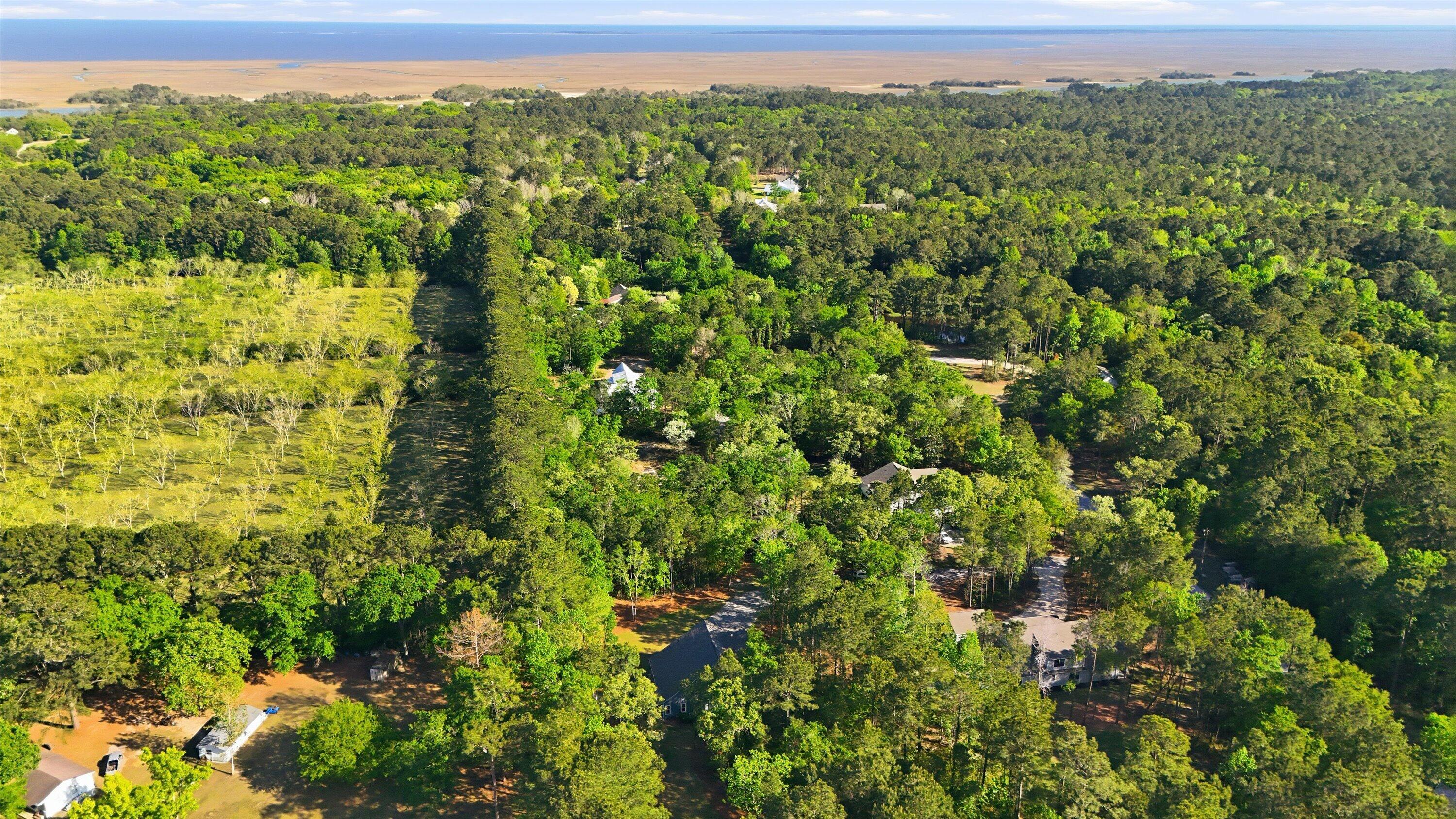 1024 Awendaw Lakes Boulevard Awendaw, SC 29429 - Photo 40 of 44 Aerial View