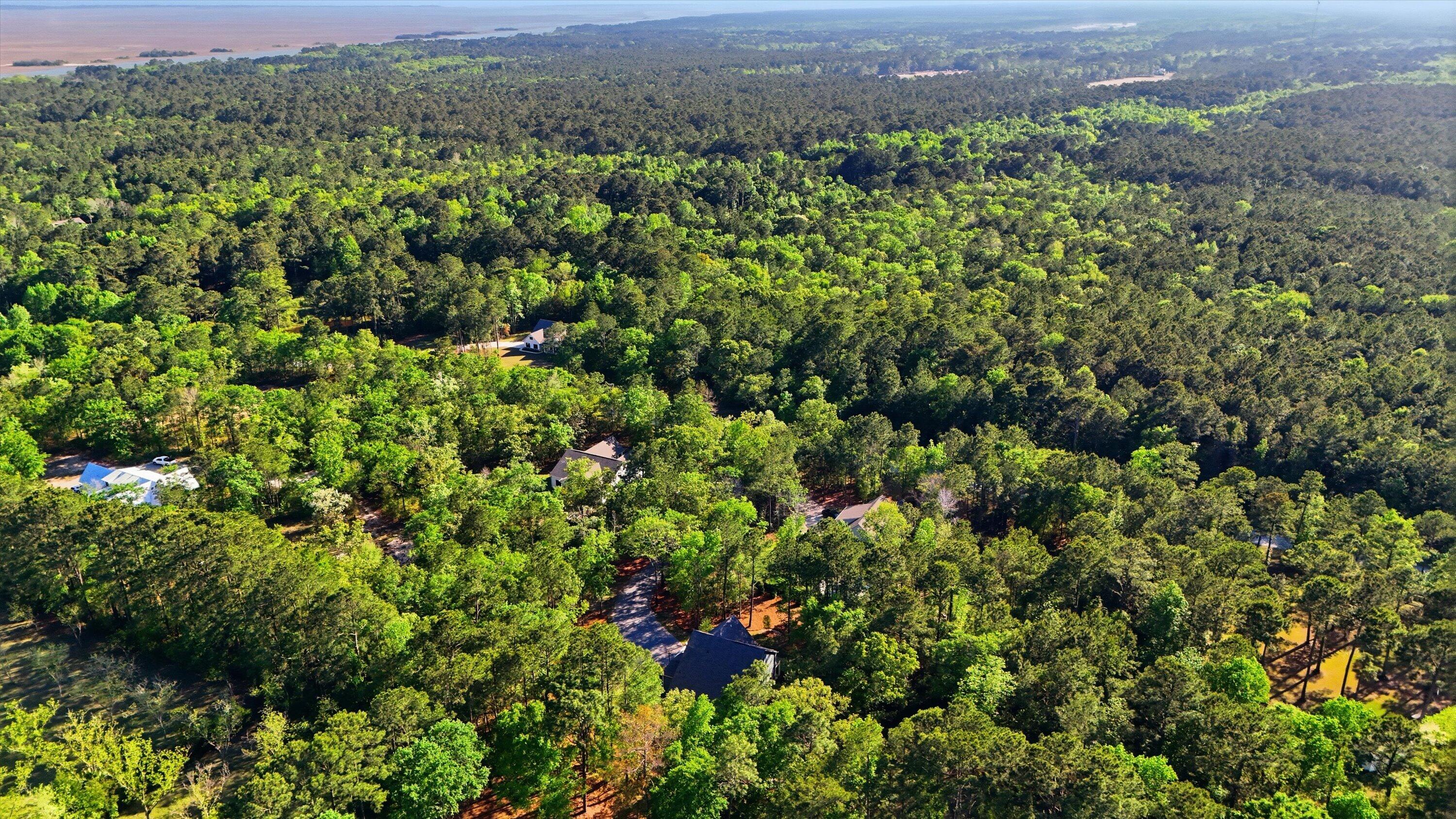 1024 Awendaw Lakes Boulevard Awendaw, SC 29429 - Photo 41 of 44 Aerial View