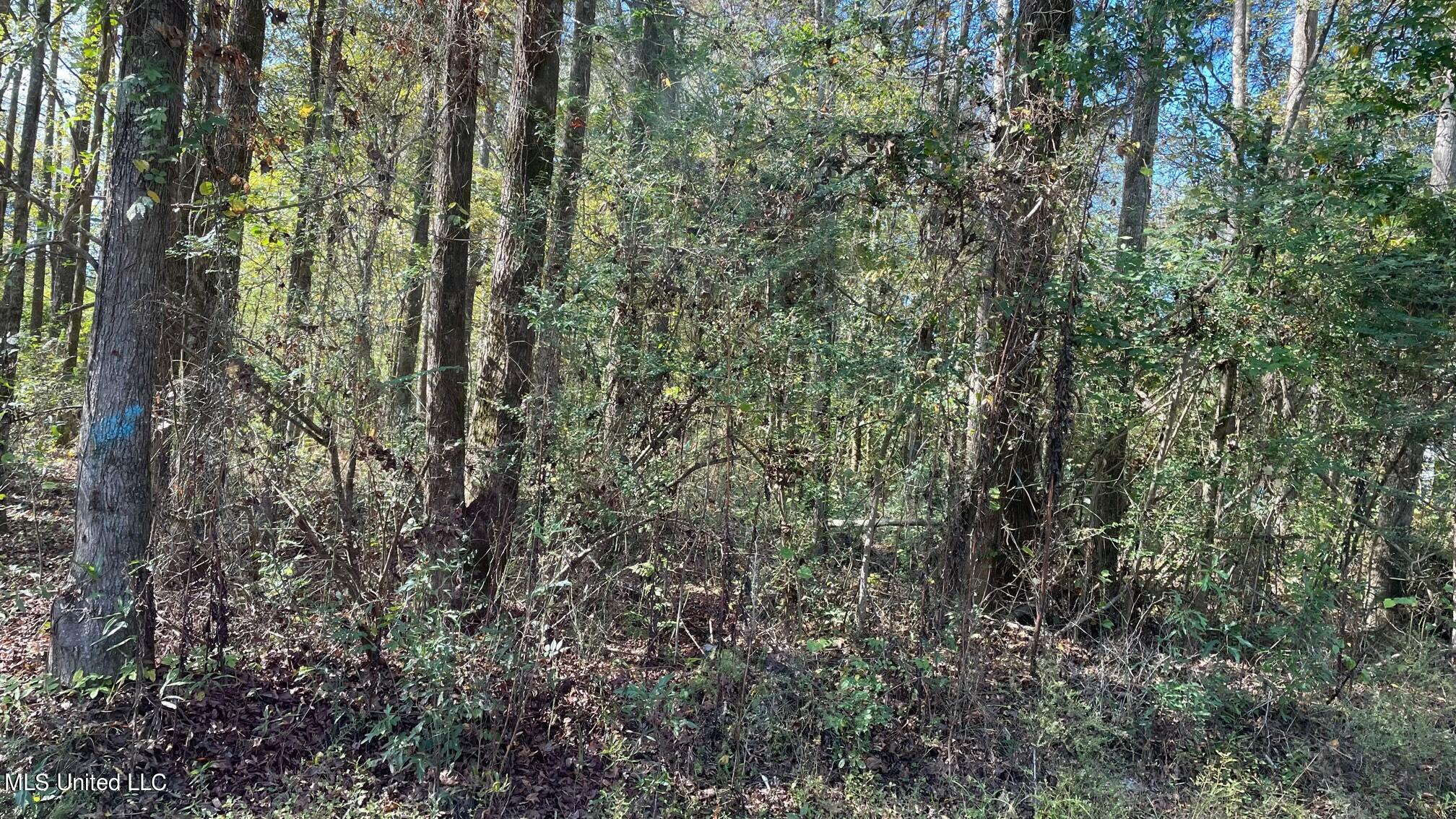 Hearst Road Starkville, MS 39759 - Photo 2 of 2 road frontage