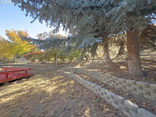 a view of yard with trees