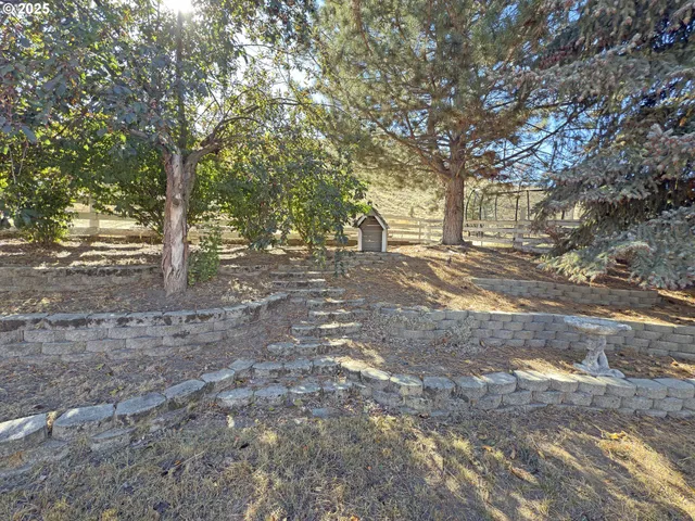 a view of a yard with large trees