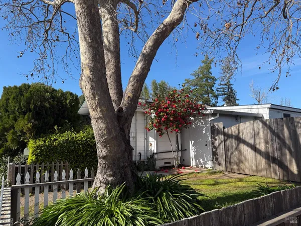 a view of a backyard with a tree