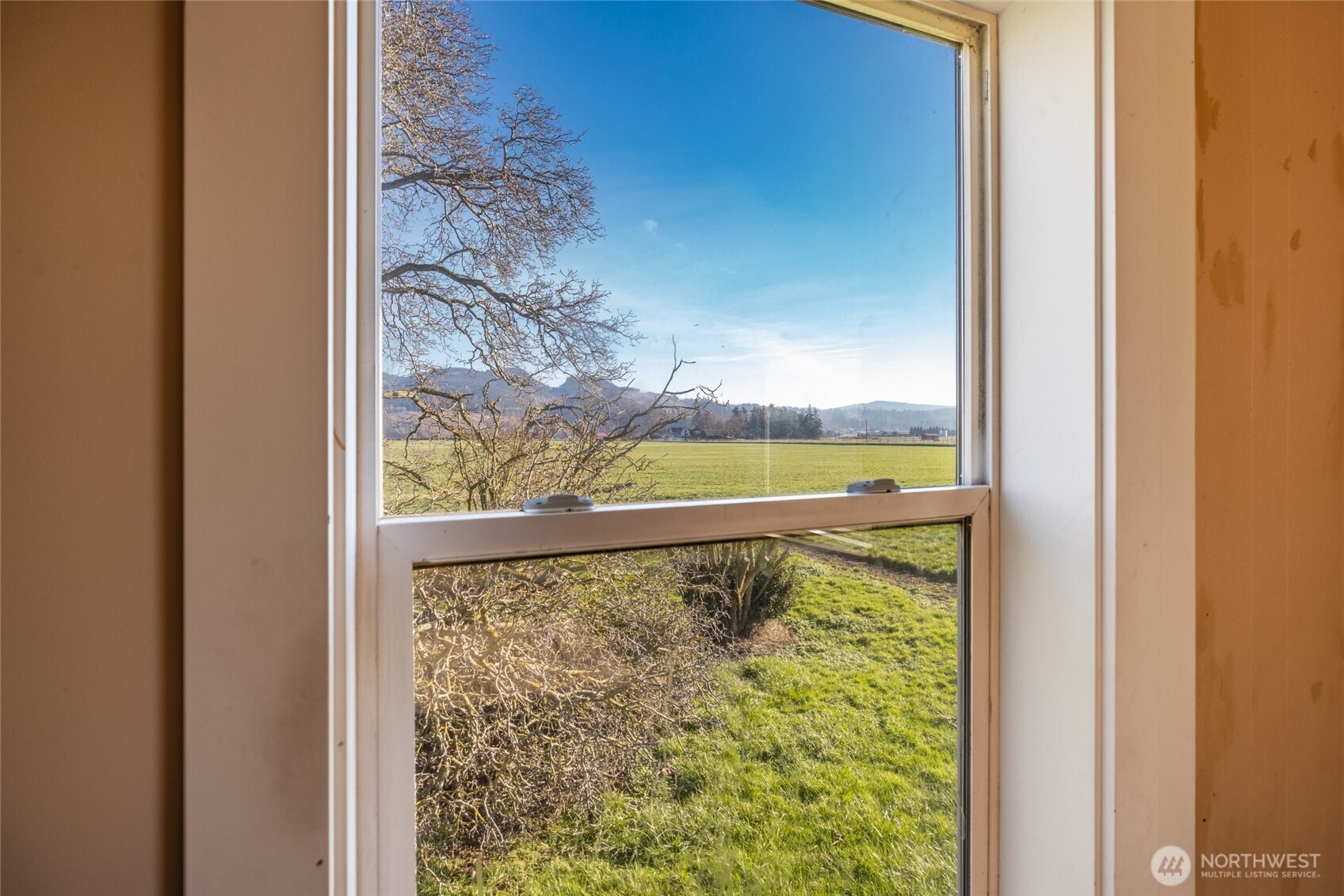 19653 Cedardale Road Mount Vernon, WA 98274 - Photo 15 of 36