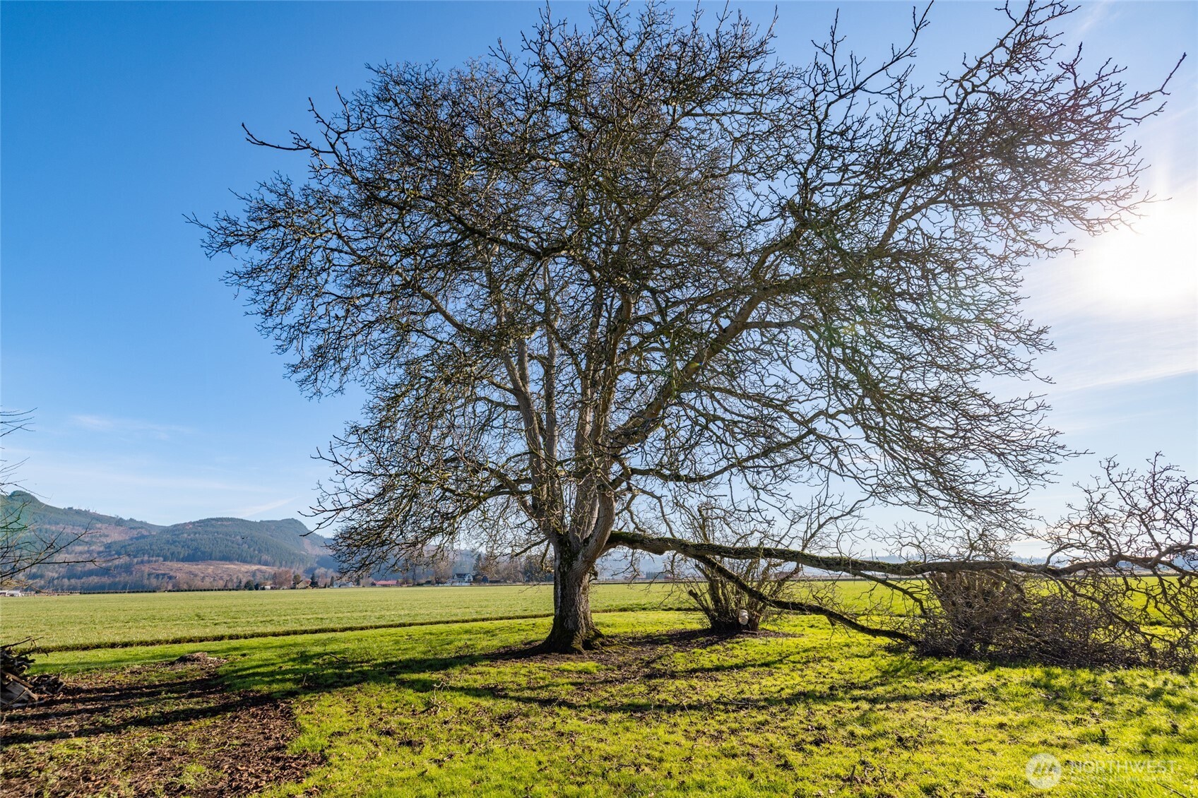 19653 Cedardale Road Mount Vernon, WA 98274 - Photo 33 of 36