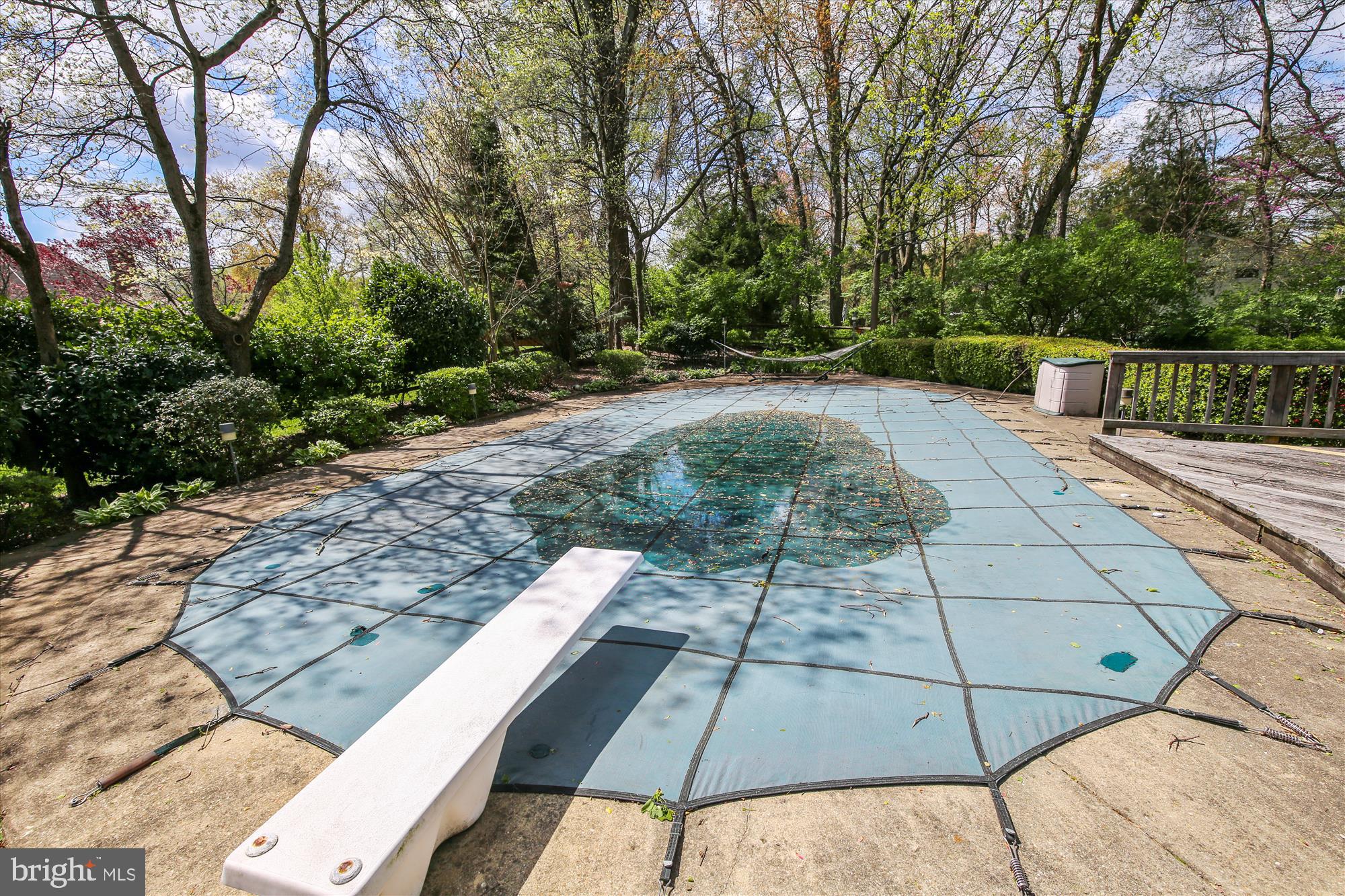9925 Coach Road Vienna, VA 22181 - Photo 20 of 45 Pool