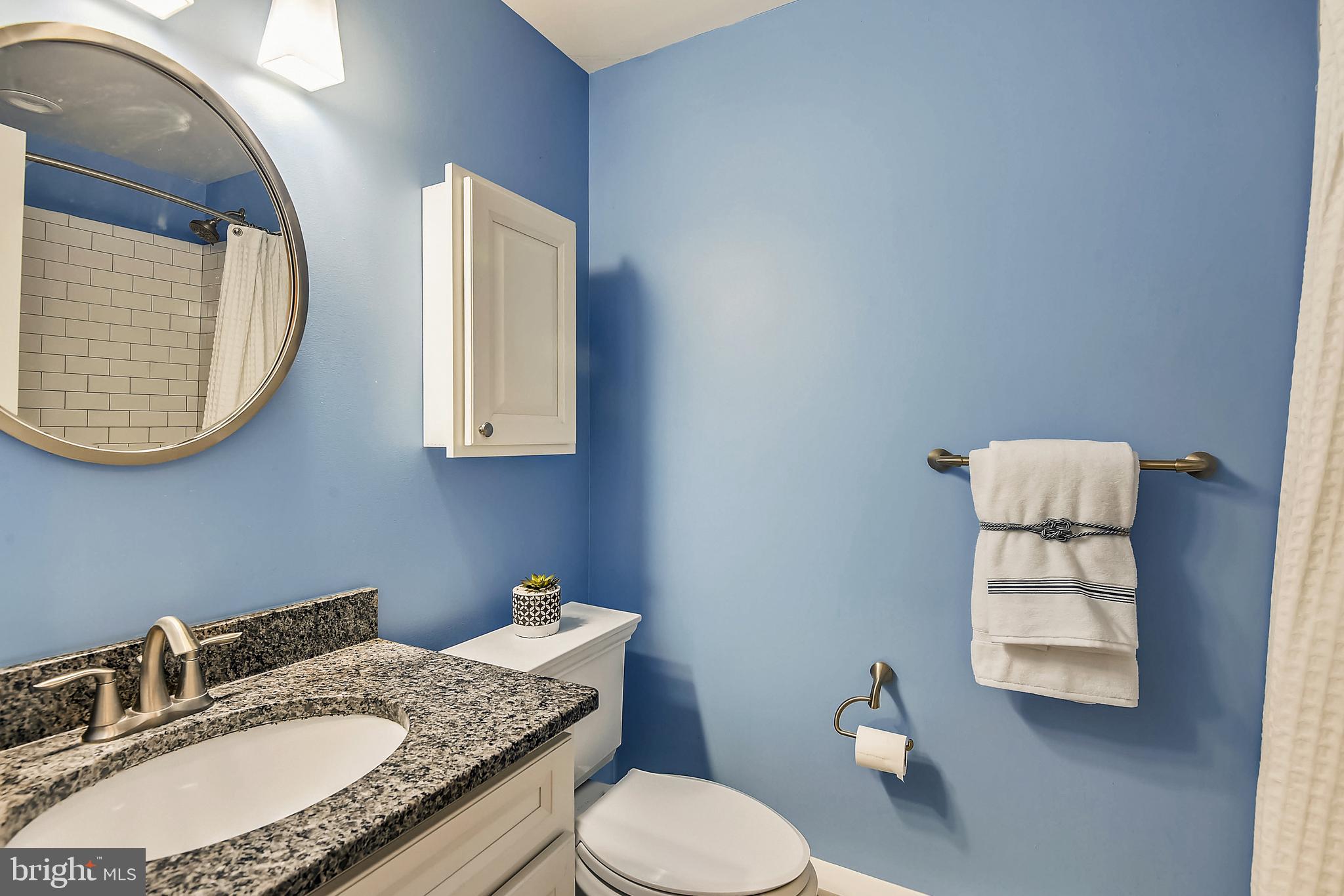 9925 Coach Road Vienna, VA 22181 - Photo 29 of 45 Full Bath