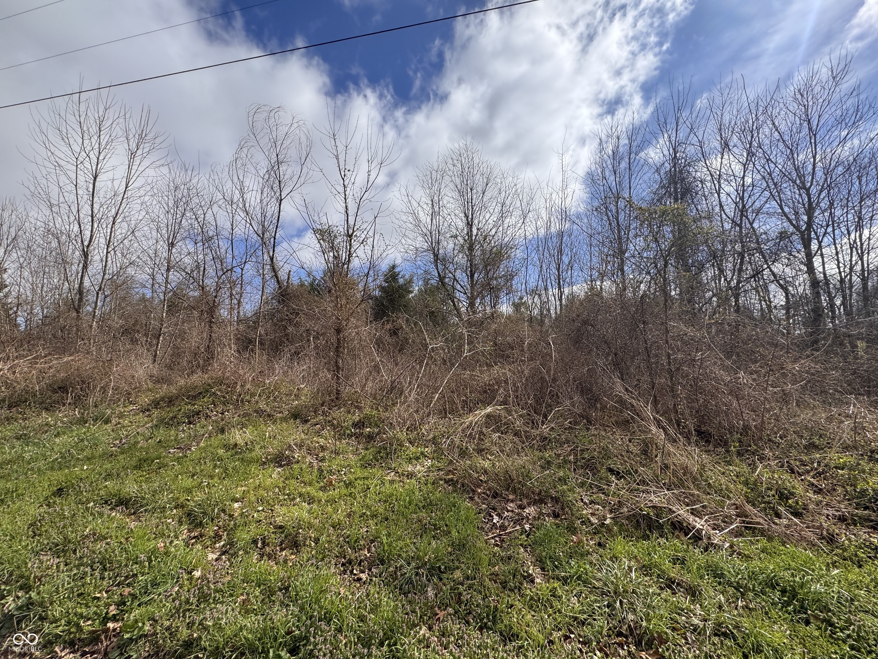 Tbd Stonington Road Orleans, IN 47452 - Photo 11 of 11