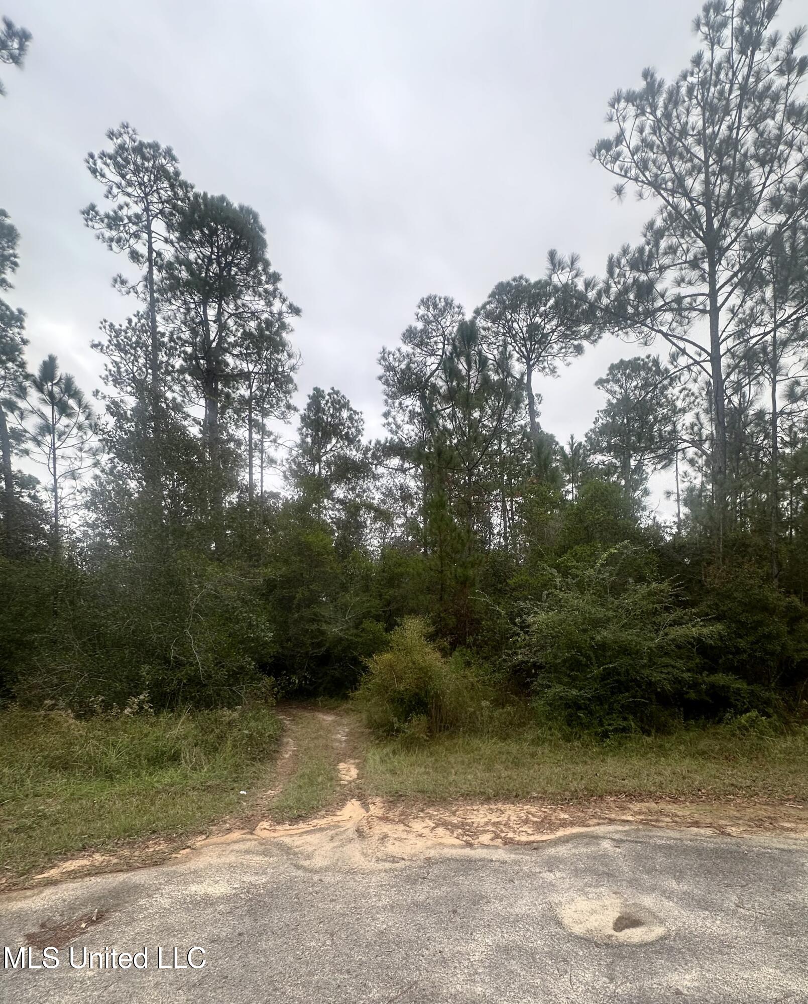 Oakplace Drive Vancleave, MS 39565 - Photo 1 of 2 street view