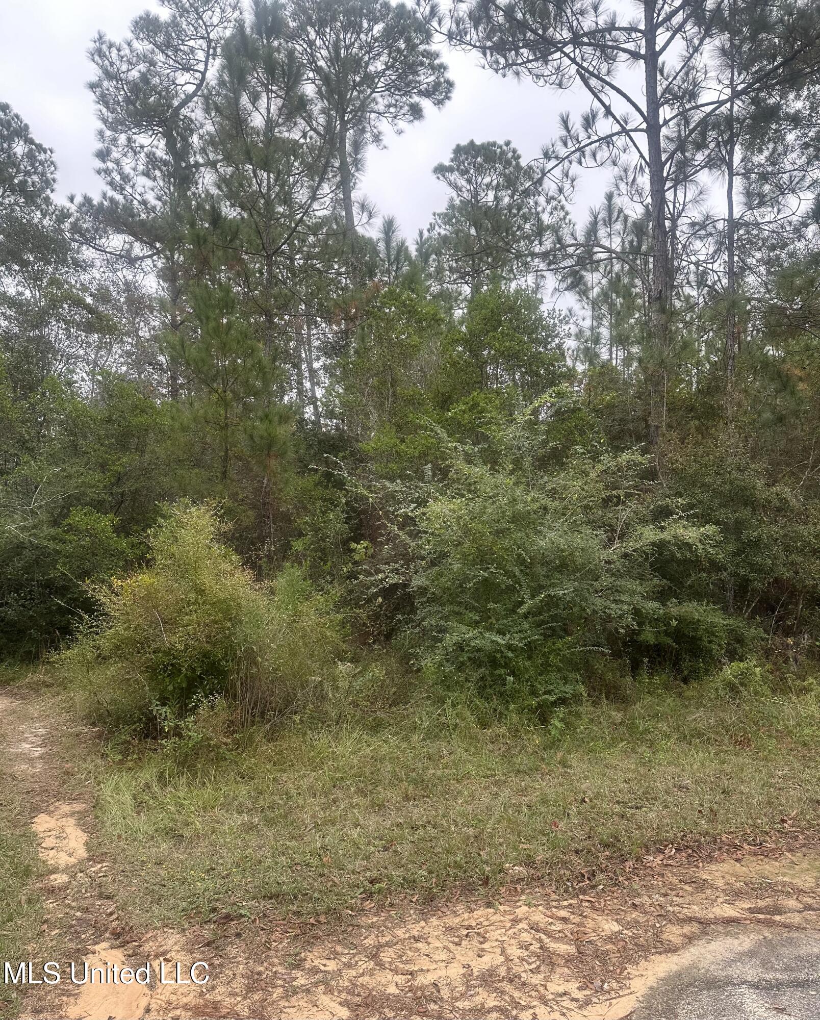 Oakplace Drive Vancleave, MS 39565 - Photo 2 of 2 IMG_3202